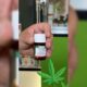 Receta de cannabis medicinal en Ucrania