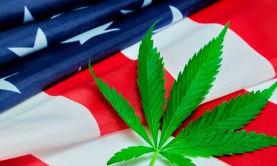 Inicio de las audiencias de la DEA sobre la reclasificación del cannabis