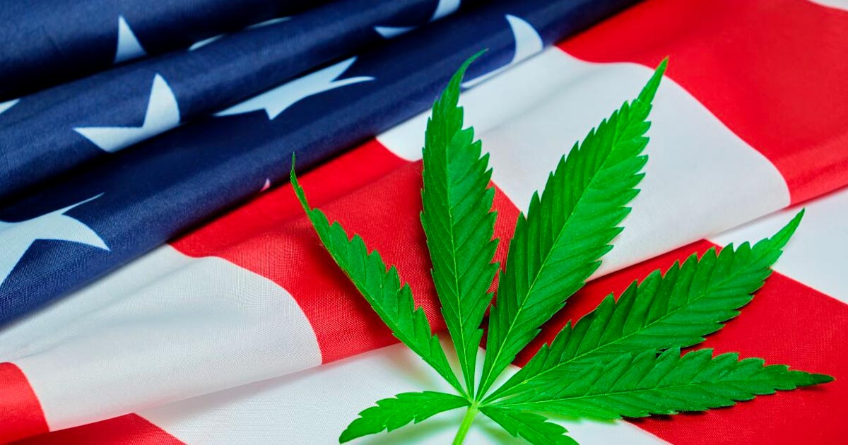 Inicio de las audiencias de la DEA sobre la reclasificación del cannabis