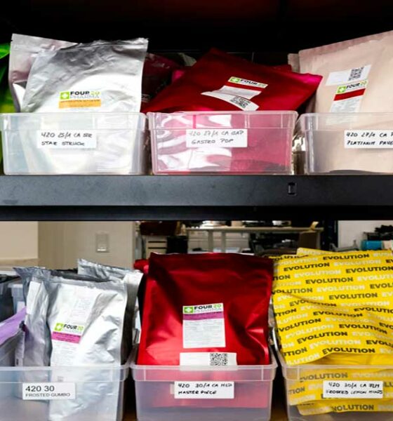 Tendencias del cannabis medicinal en Alemania