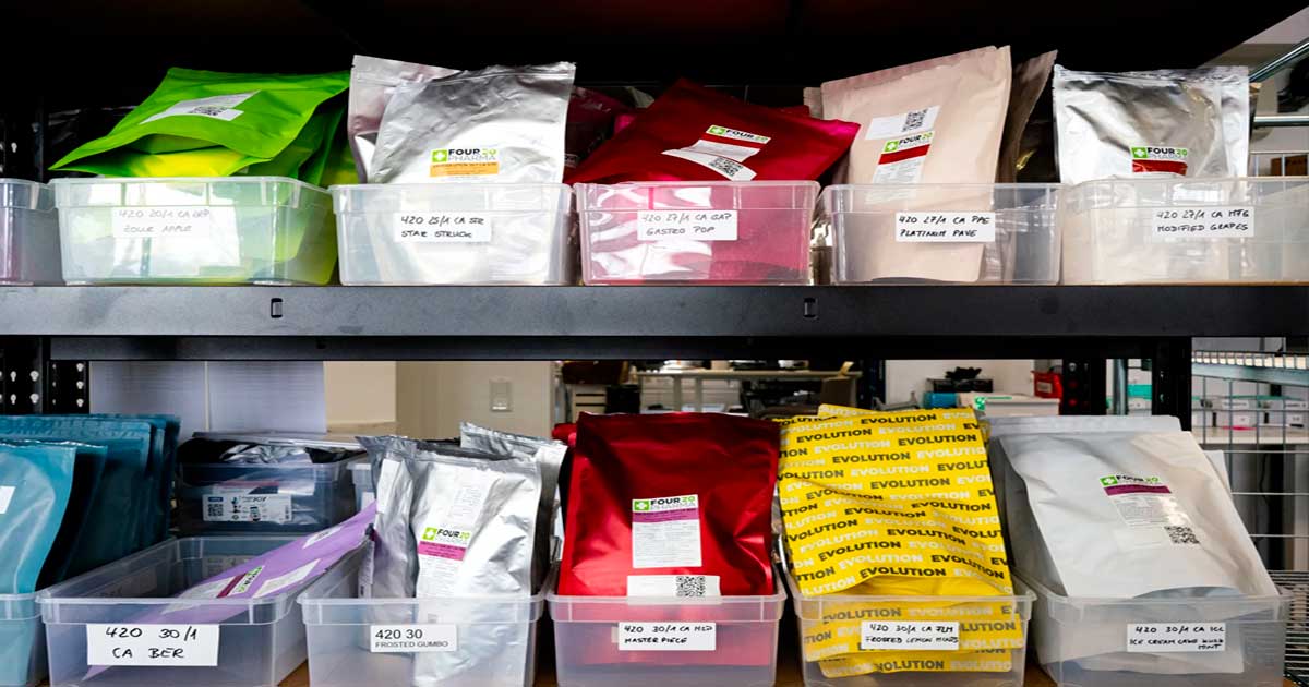 Tendencias del cannabis medicinal en Alemania