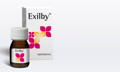 «L'Exil», de Vertanical