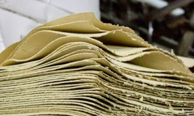 Fibras de cáñamo en el papel reciclado