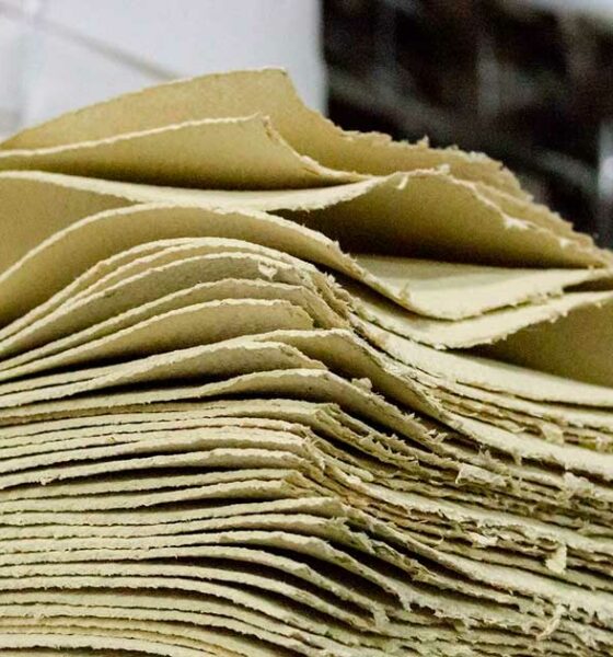 Fibras de cáñamo en el papel reciclado