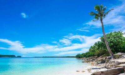 Primera licencia de cannabis medicinal en Guam