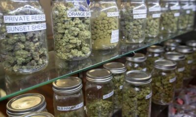 Impuesto sobre los dispensarios ilegales de cannabis en Los Ángeles
