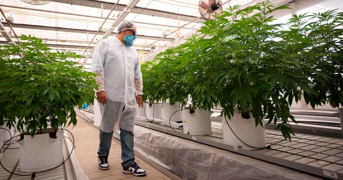 Nivaria Tech en Tenerife