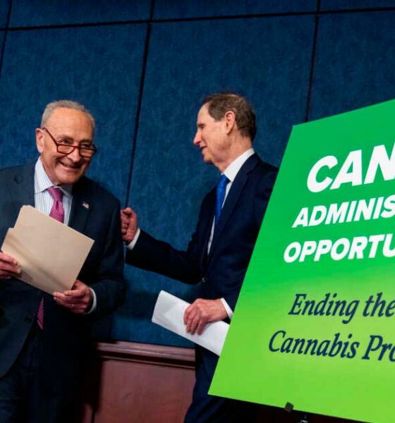 Proyecto de legalización del cannabis en Estados Unidos