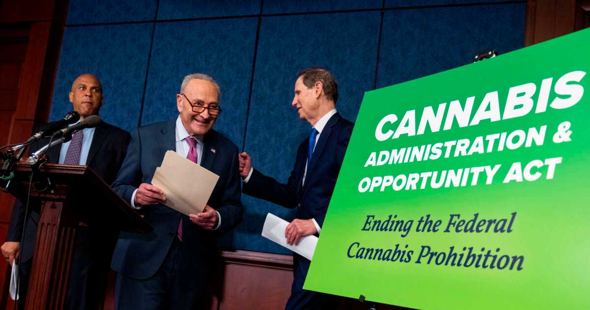 Proyecto de legalización del cannabis en Estados Unidos