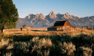 Wyoming rechaza la reclasificación del cannabis
