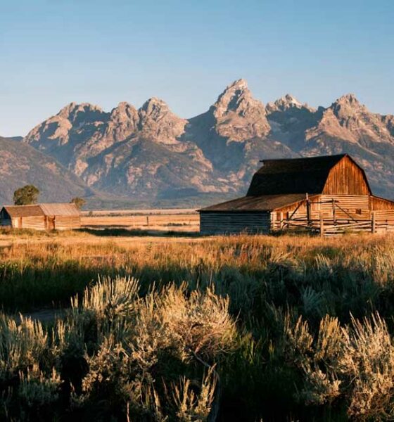 Wyoming rechaza la reclasificación del cannabis