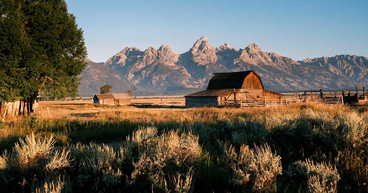 Wyoming rechaza la reclasificación del cannabis