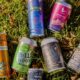 El Congreso de Estados Unidos quiere salvar las bebidas con THC