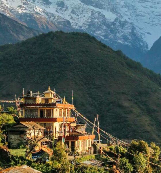 Legalización del cannabis medicinal en Nepal