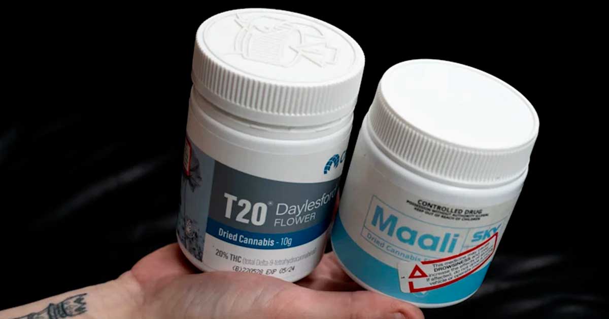 Aumento vertiginoso de las recetas de cannabis medicinal en Australia