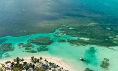 Fase piloto para el cannabis medicinal en las Bahamas