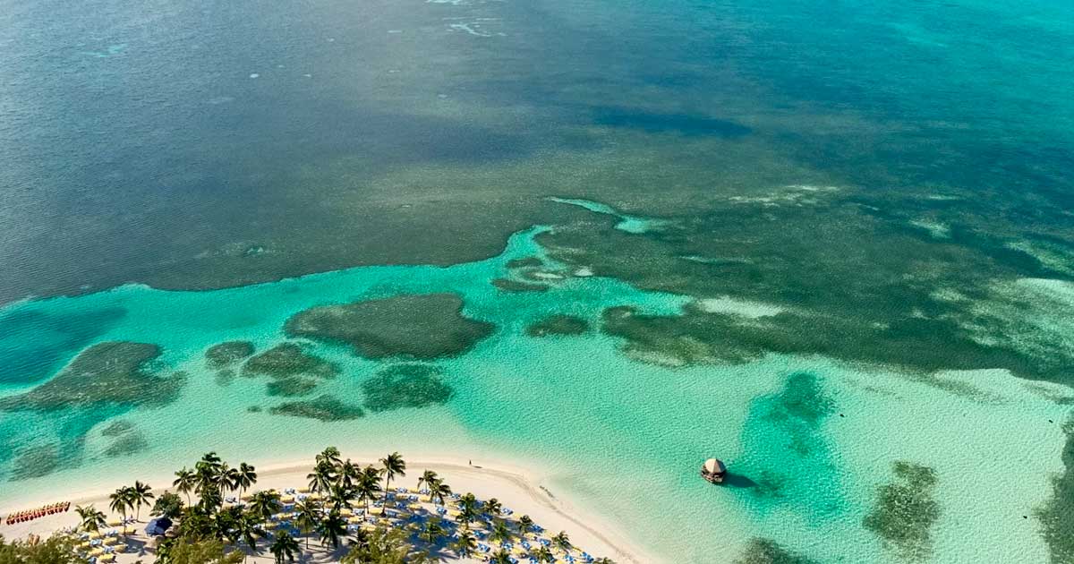 Fase piloto para el cannabis medicinal en las Bahamas