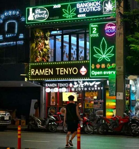 Tailandia apuesta por el cannabis medicinal