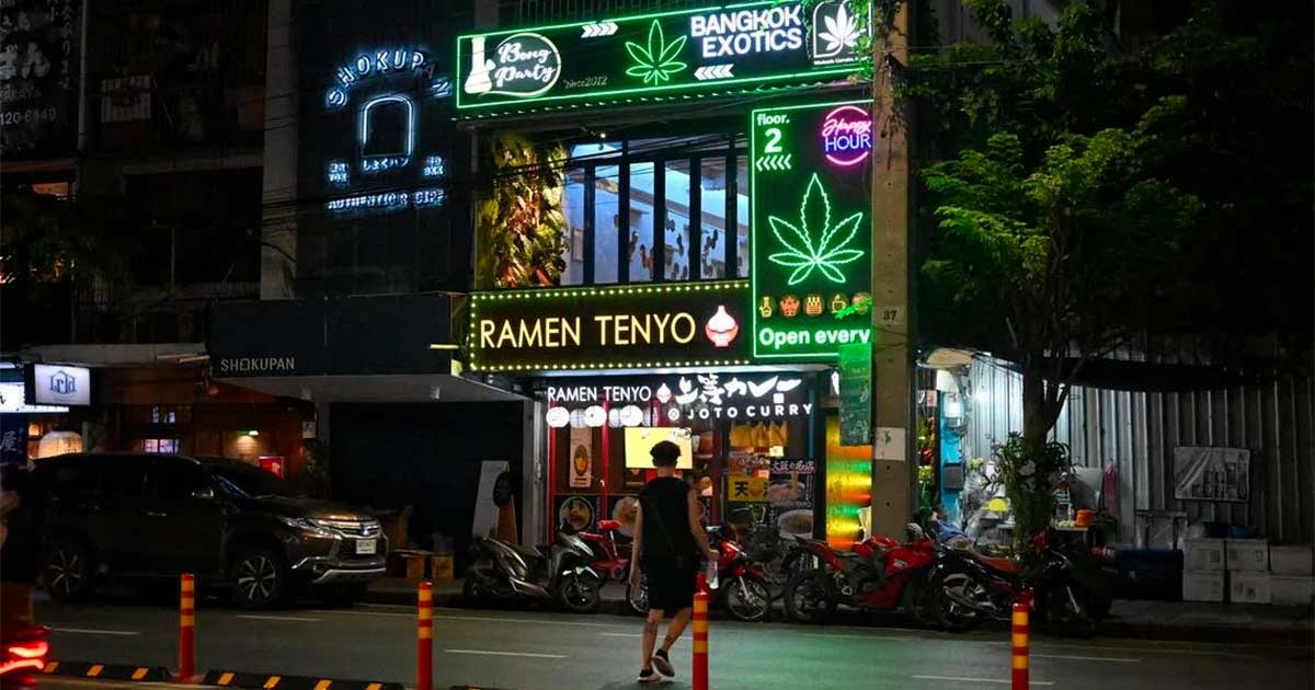 Tailandia apuesta por el cannabis medicinal