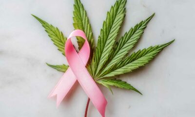 Cáncer de mama y cannabis