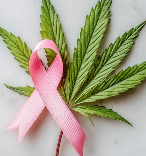 Cáncer de mama y cannabis
