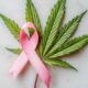 Cáncer de mama y cannabis