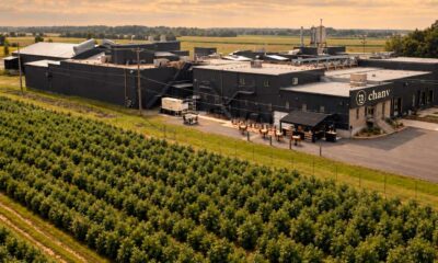Cosecha de cáñamo en Quebec