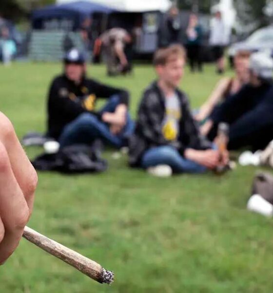 Consumo de cannabis entre los adolescentes en Estados Unidos