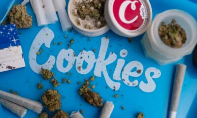 Cookies, condenado a pagar una multa