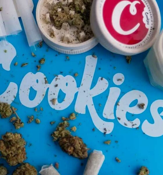 Cookies, condenado a pagar una multa