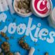 Cookies, condenado a pagar una multa