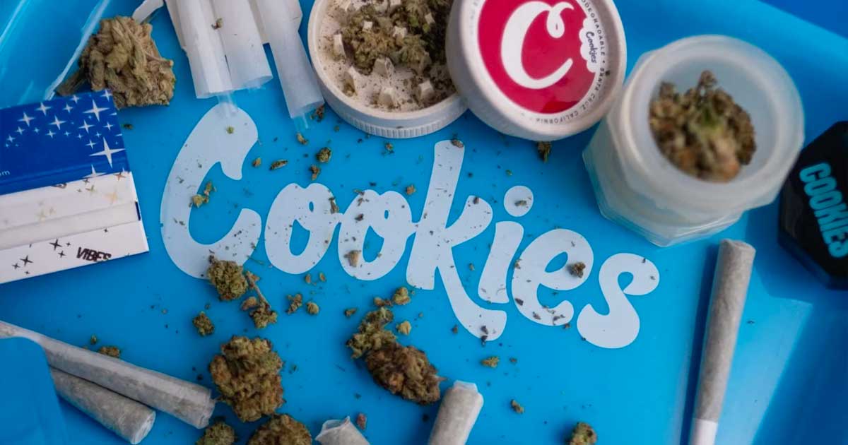 Cookies, condenado a pagar una multa