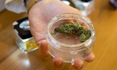 Distribución de cannabis en farmacias en Suiza