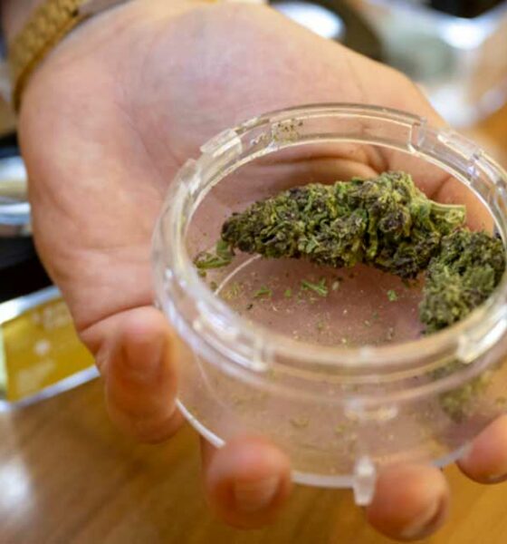 Distribución de cannabis en farmacias en Suiza