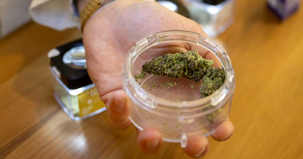 Distribución de cannabis en farmacias en Suiza