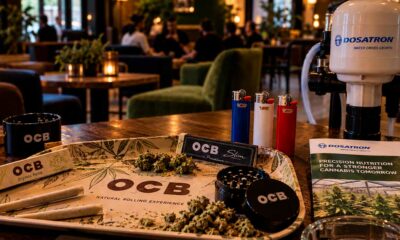 Empresas francesas del sector del cannabis en el extranjero