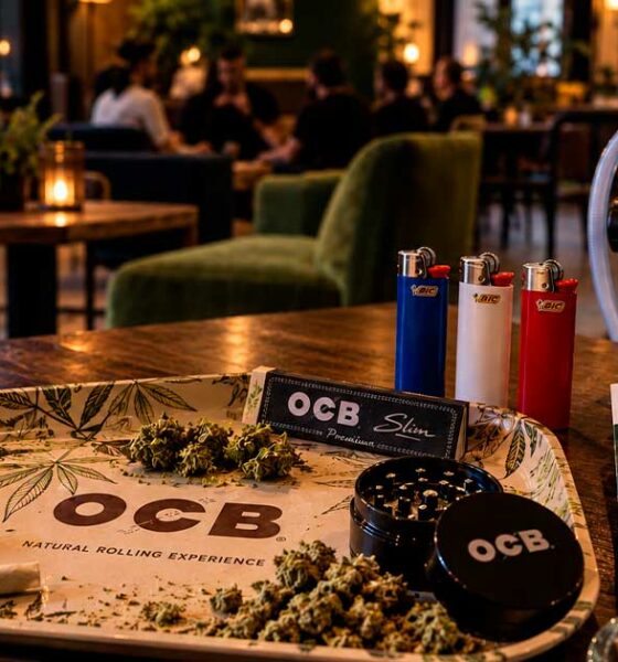 Empresas francesas del sector del cannabis en el extranjero