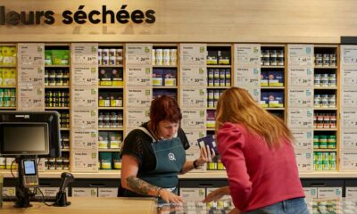 Comparación entre Francia y Quebec en materia de cannabis