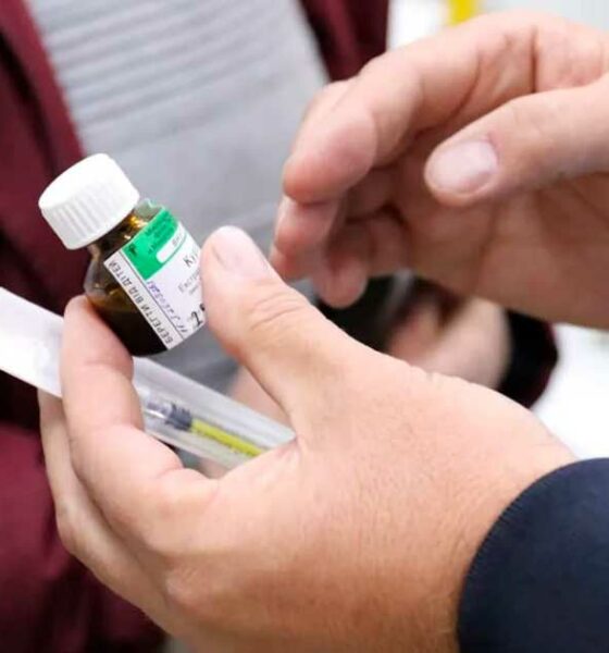 Cannabis medicinal en Ucrania contra el cáncer