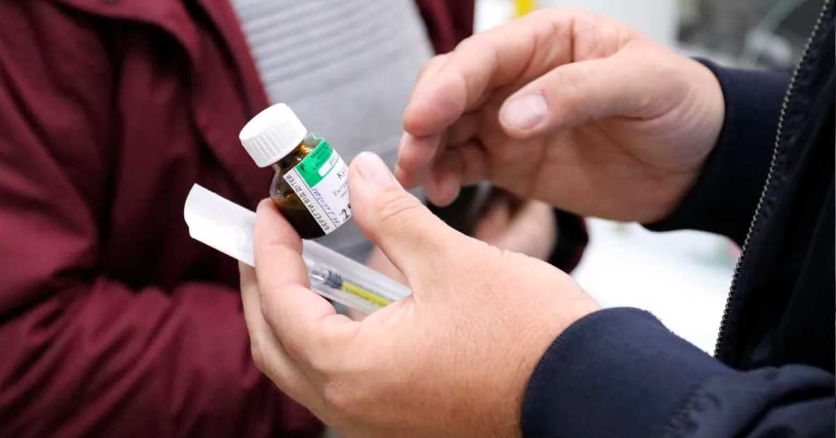 Cannabis medicinal en Ucrania contra el cáncer