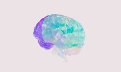 Efectos del cannabis en el cerebro de los adolescentes