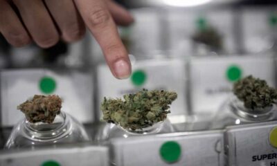 Club de cannabis en Chile