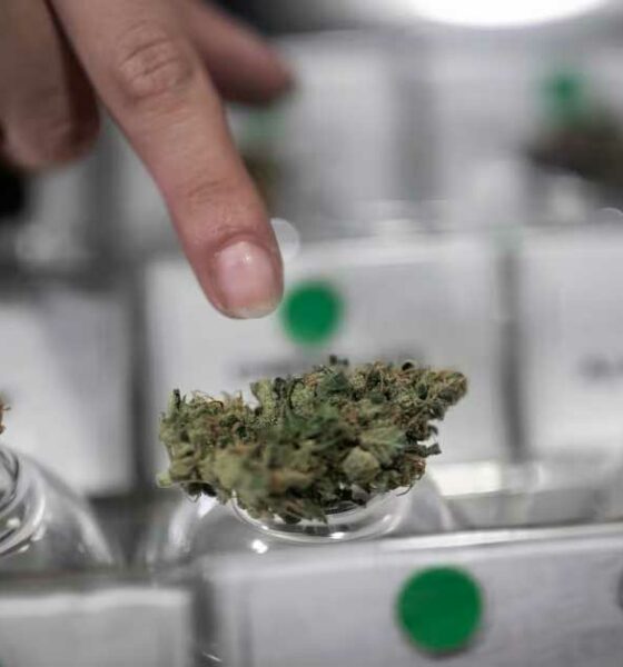 Club de cannabis en Chile