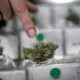 Club de cannabis en Chile