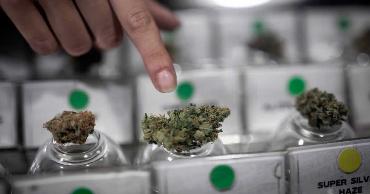 Club de cannabis en Chile