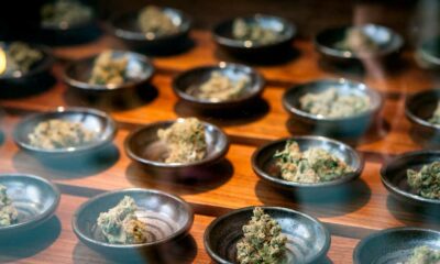Empresas de cannabis medicinal en EE. UU.