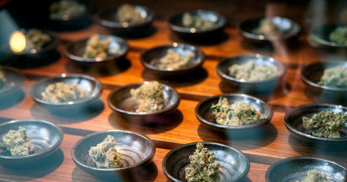 Empresas de cannabis medicinal en EE. UU.