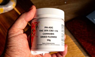 Estudios sobre la potencia del THC