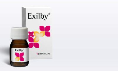 «L'Exil», de Vertanical