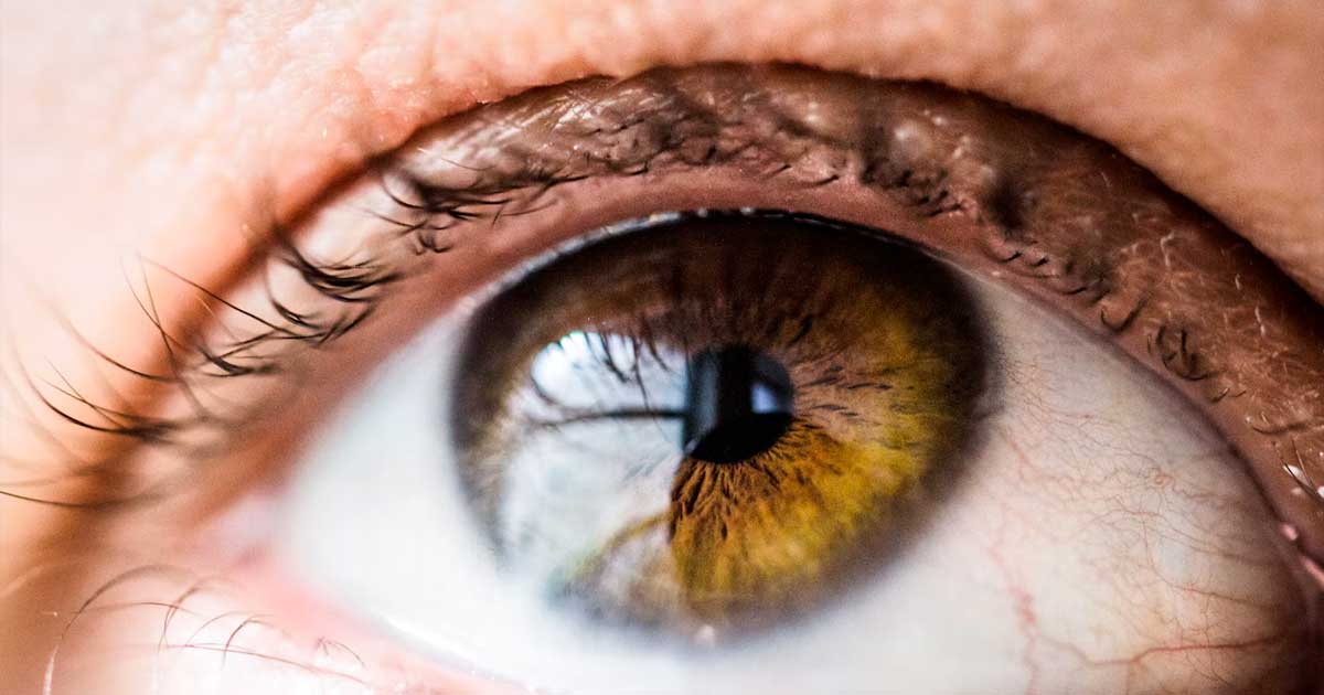 El CBD y el tratamiento de la inflamación ocular